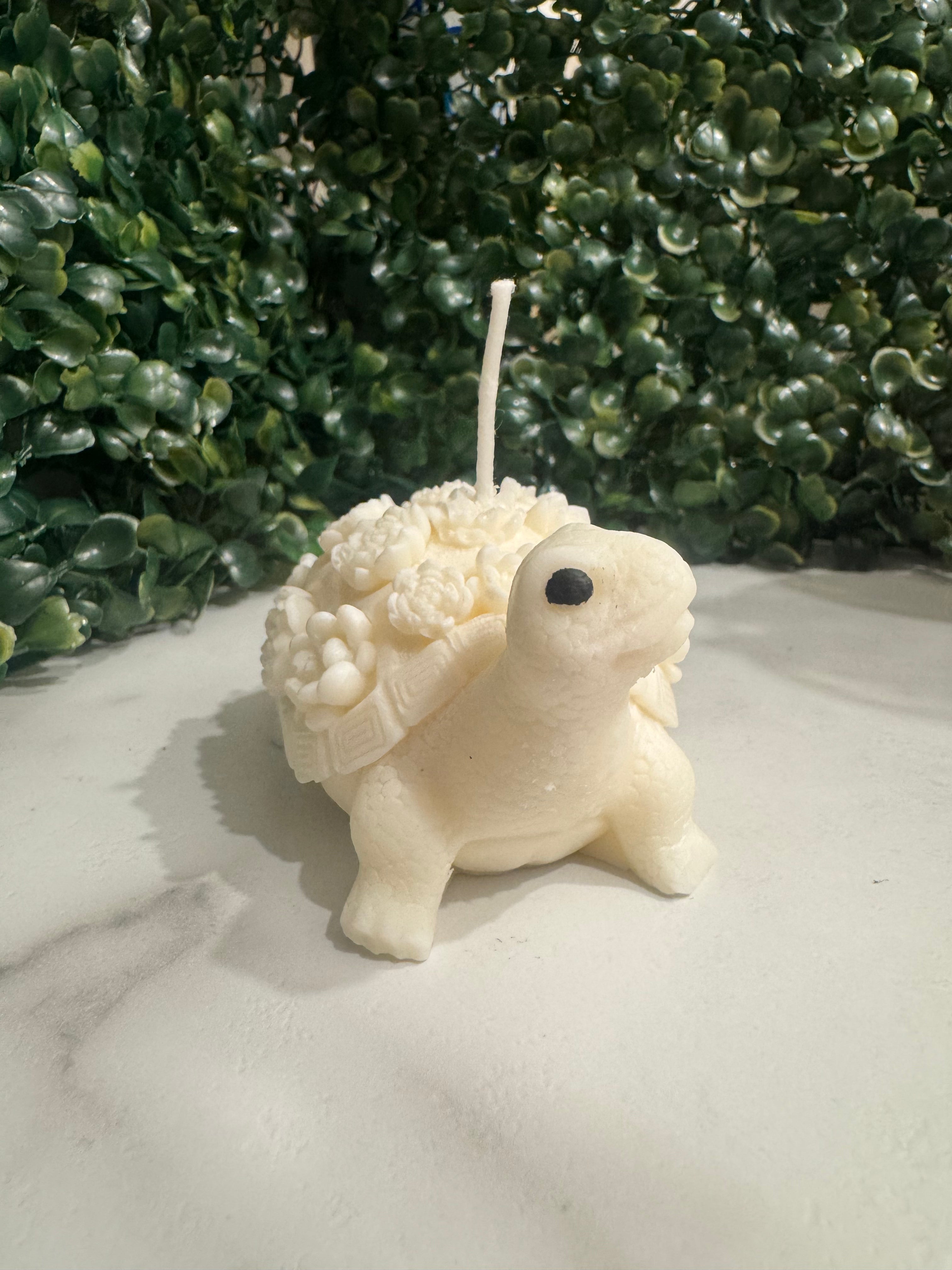 Succulent Turtle Soy Candle