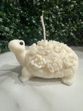 Succulent Turtle Soy Candle